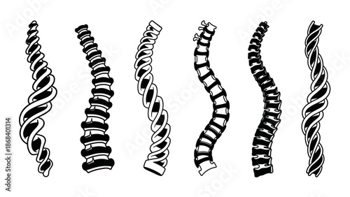 Abstract spine illustrations displaying anatomy and structure in monochrome