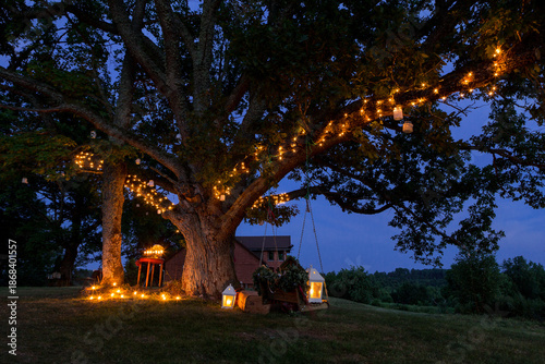 Old tree branches decorated with string lights, lanterns, and swing