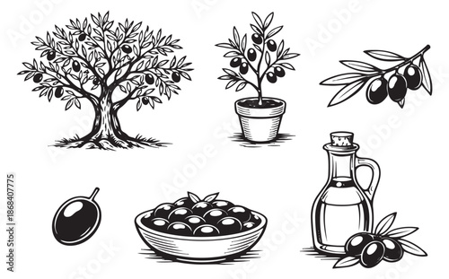 Hand drawn line art olive set featuring olive trees, olive branches, olives, and olive oil for food and beverage branding