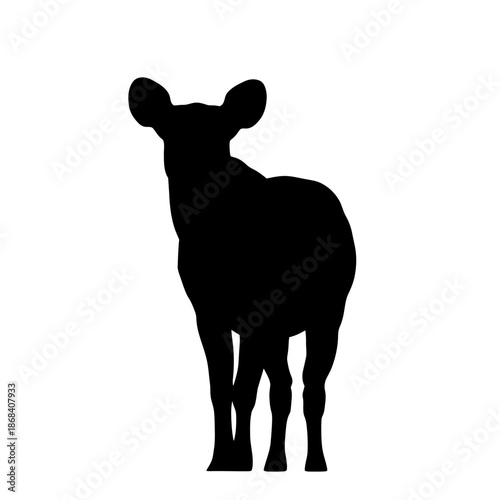 Silhouette of a Deer Standing Still Against a White Background.