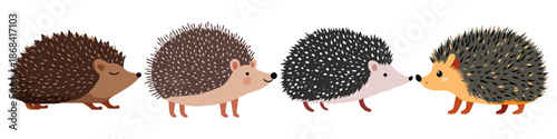 hedgehog animal mammal small spiny quill Flat Vector Illustration on Transparent Background