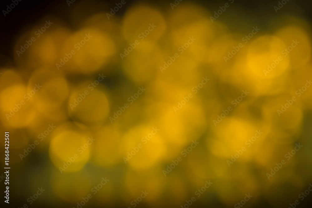 Fototapeta premium Autumn bright bokeh background. Natural beauty background.