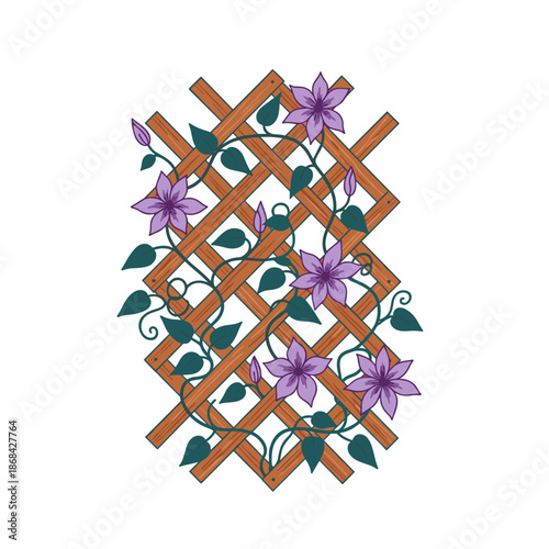 Vertical graphic of a purple clematis climbing plant on a wooden trellis. Flat design floral element isolated on transparent background. Gardening and landscaping concept