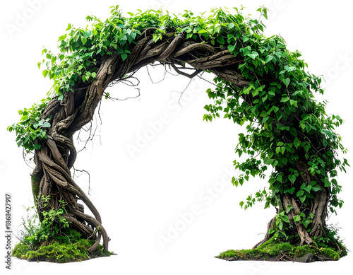 Lush green foliage archway made of natural vines and twisted wood.