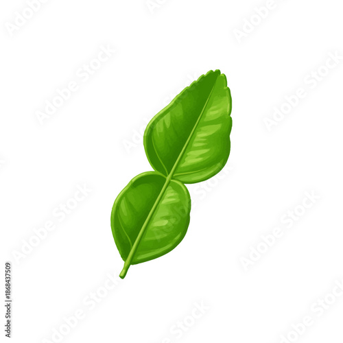 Illustration of a bright green Kaffir lime leaf with a distinct doublelobed structure