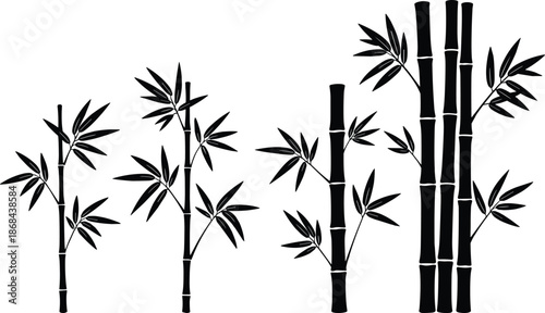 Black and white of bamboo stalks and leaves on white background plants