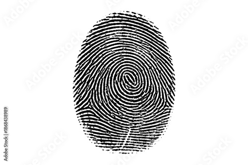 Detailed Black Fingerprint Illustration