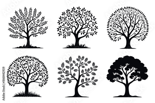 Black Silhouette Tree Icon Set