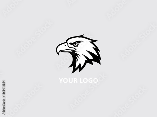 Black and White Eagle Head Logo Design.