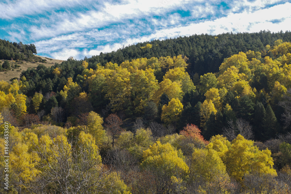 custom made wallpaper toronto digitalautumn in the mountains