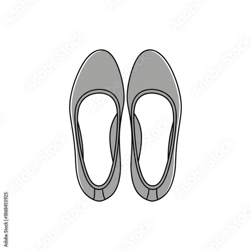 Pair of classic ballet flats Vector