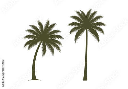 Silhouette of two palm trees for tropical designs