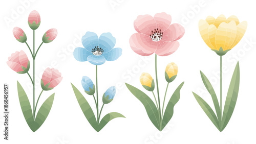 Vibrant spring flowers in pastel colors on white background
