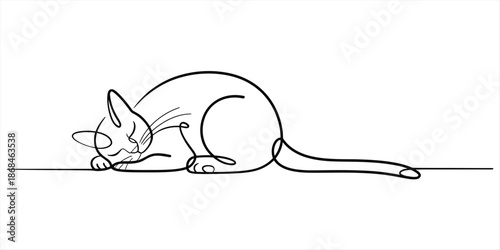 Elegant continuous line art illustration showing a domestic cat sleeping in a curled position Vector, illustration