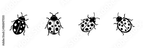 Ladybug Illustrations In Hand Drawn Style Set. Nature, Insect, And Biodiversity Doodle Sketch Collection. Entomology Art. Isolated Vector Illustration