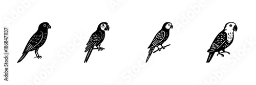 Parrot Illustrations In Hand Drawn Style Set. Exotic Bird Collection, Tropical Wildlife Art Doodle Sketch Collection. Ornithology And Nature Enthusiast Design. Isolated Vector Illustration