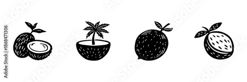 Coconut And Citrus Fruits In Hand Drawn Style Set. Tropical And Exotic Fruit Doodle Sketch Collection. Healthy Eating And Natural Ingredients. Isolated Vector Illustration