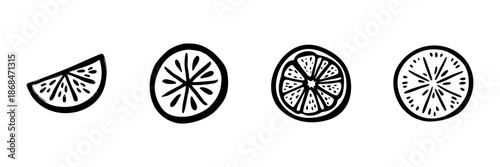 Citrus Fruit Slices In Hand Drawn Style Set. Freshness, Vitamin C, Healthy Eating Doodle Sketch Collection. Nutrition And Wellness. Isolated Vector Illustration