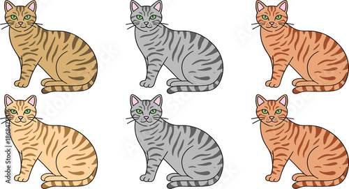 Striped tabby cat illustration set with various fur colors including ginger, grey, and brown for domestic pet concept