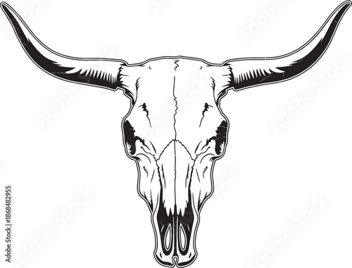 Longhorn bull skull vector illustration for western theme texas ranch and hunting lodge decor