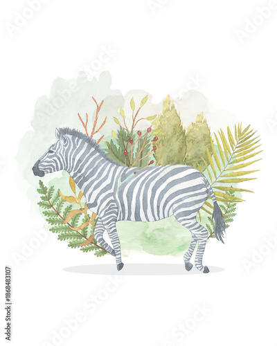 Photography zebra vector illustration