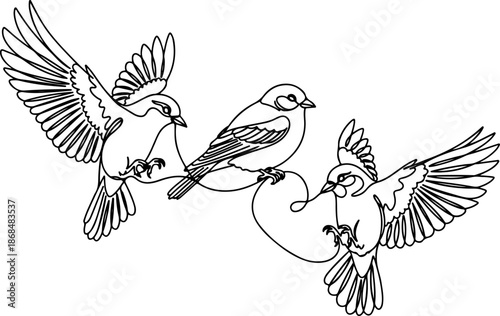Continuous Line Art Three Bird Poses Flying Illustration
