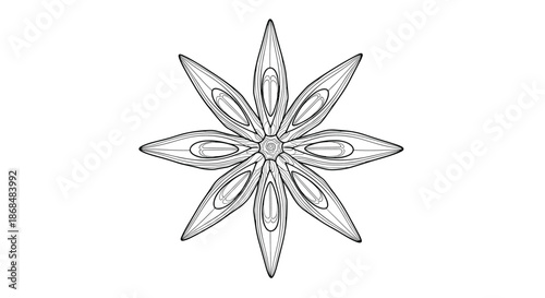 Detailed black and white line art illustration of a star anise seed pod, hand-drawn in a precise botanical style for culinary or decorative designs.