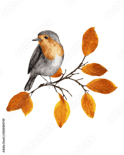 Fotografie robin on a branch