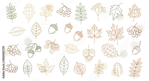 A beautiful collection of autumn leaves, acorns, and rowan berries illustrated in a delicate dotted line art or embroidery style.