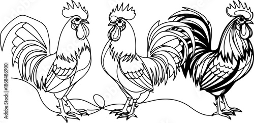 Continuous Line Art Three Chicken Poses Farm Illustration