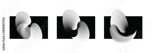 Abstract halftone spiral wave forms in black and white with dotted gradient swirl shapes.
