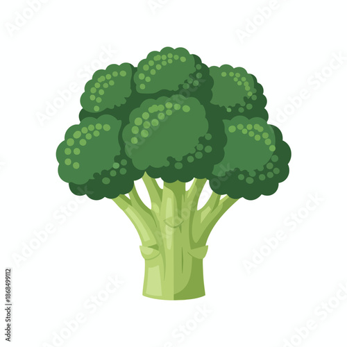 Green Broccoli Illustration