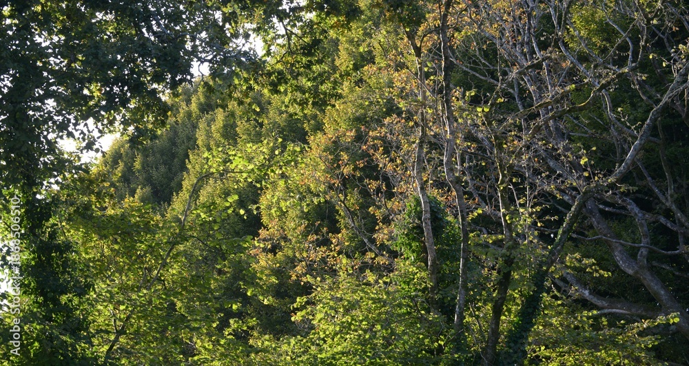 Fototapeta premium La campagne à Briec en Bretagne Finistère