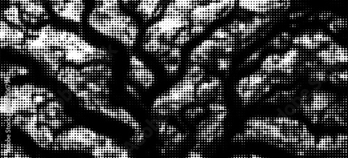 Pixelated bitmap gradient texture. Black and white dither pattern background. Abstract glitchy pattern. 8 bit video game screen wallpaper. Wide raster backdrop. Retro pixel art Illustration