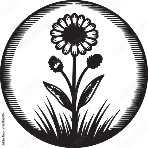 Never forgotten, always remembered circular graphic with a daisy Vector