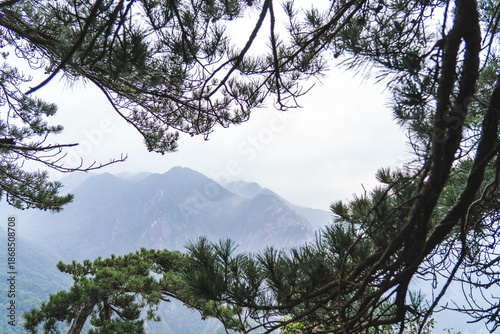 Wallpaper Mural trees in the sky with mountatin Torontodigital.ca