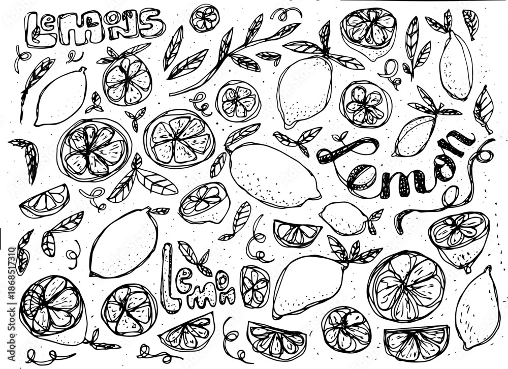 Obraz premium Juicy Lemon Fruit pattern Vector Transparent Background and word marks