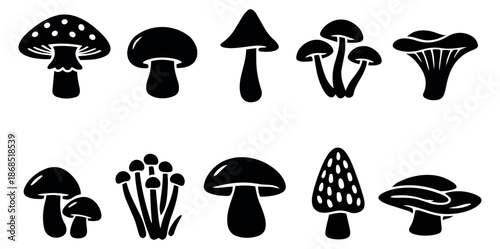 Hand drawn mushroom set featuring different kinds of fungi for nature and kitchen designs