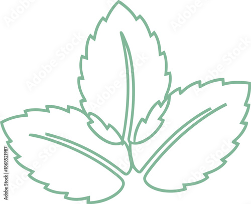 Mint line icon. Fresh aroma herbal concept. Natural organic plant. Outline vector illustration for food, drink, cosmetic design