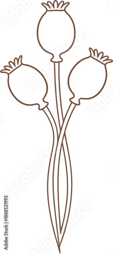 Poppy seed head icon in botanical outline art nouveau style. Floral plant vector illustration for design element, pattern, or ornament
