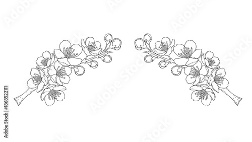A delicate and symmetrical design of two cherry blossom branches, hand-drawn in a fine, dotted black and white line art style.