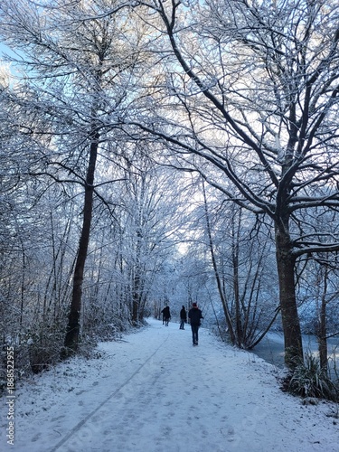 silhouettes walking in a snowed in park
