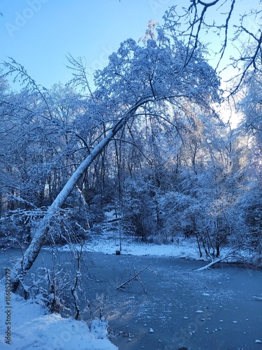 icy river in winter