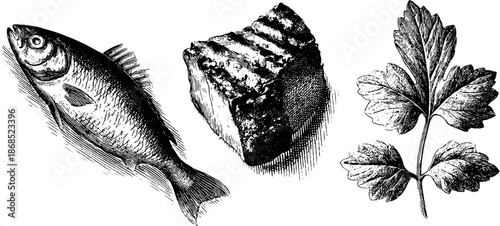 Vintage engraved illustration of grilled fish and parsley set for culinary design