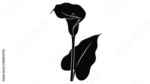 Elegant and simple black silhouette of a single calla lily flower with its stem and a large leaf on a white background.
