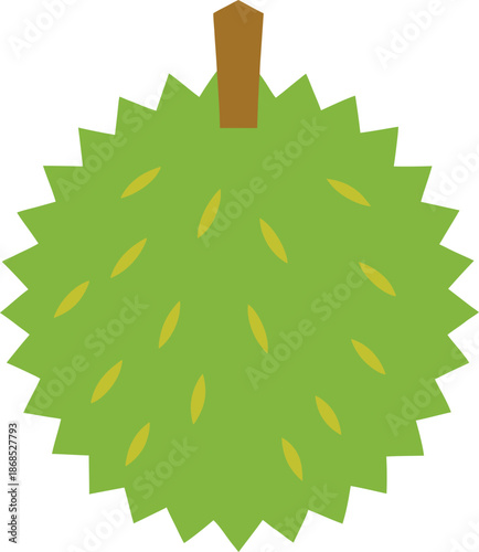 Ripe Durian Fruit Spiky Shell Transparent Background