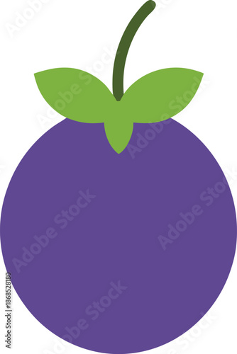 Ripe Grape Single Berry Transparent Background