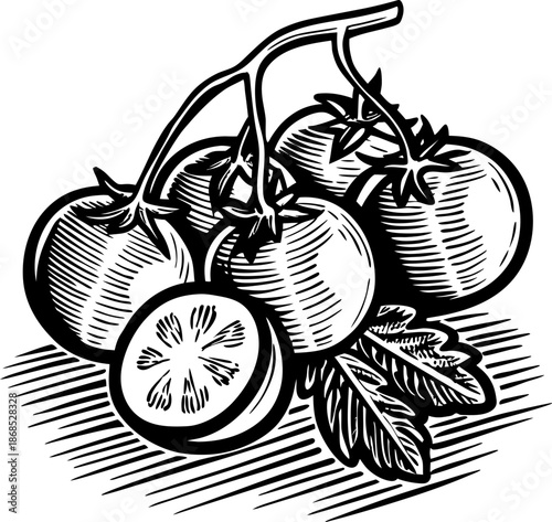 tomato vine with ripe tomatoes and leaf, black and white vintage engraving