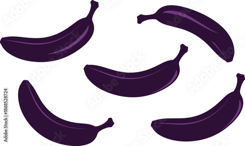 Purple banana fruits collection, exotic tropical nature produce, organic healthy vegan food, unique colored fruit elements vector illustration.