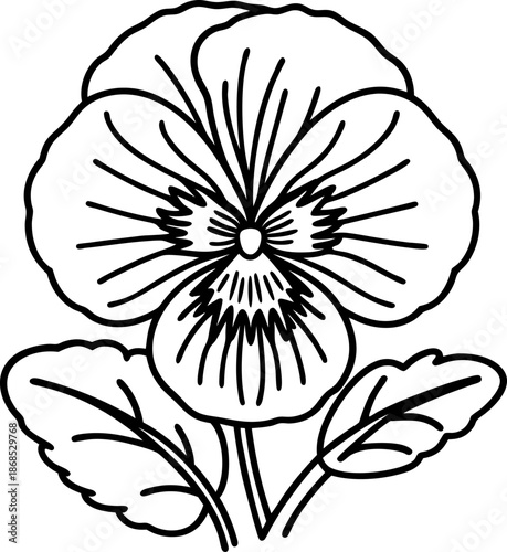 pansy flower line art with detailed petals and leaves outline drawing design